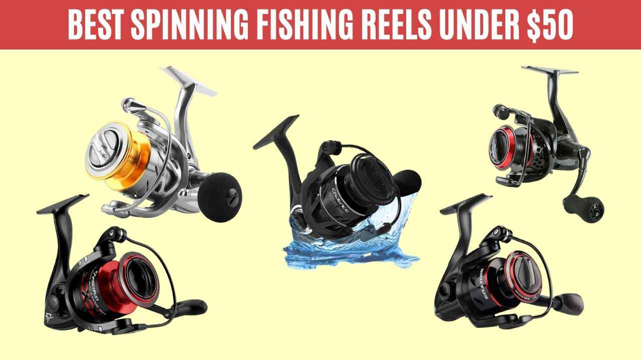 Best Spinning Fishing Reels Under $50